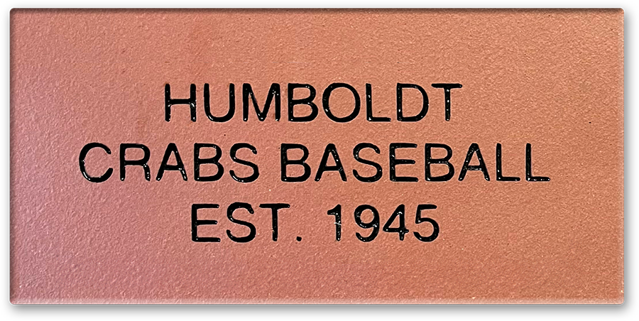 A sample ballpark brick